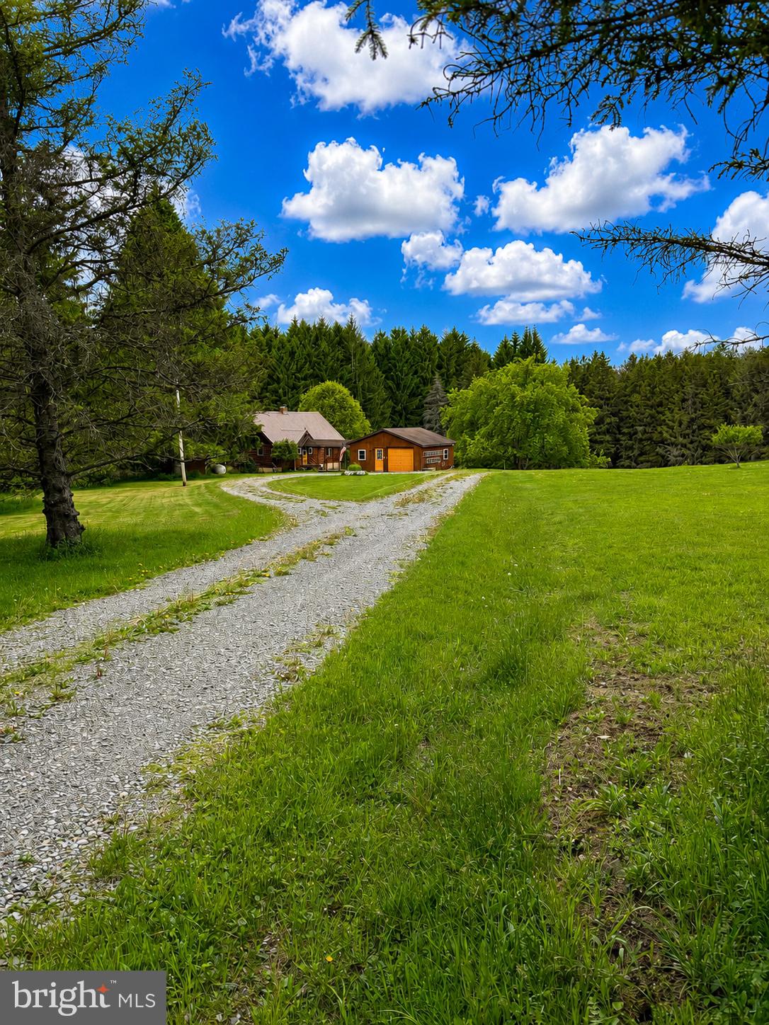 505 Scott Road Sabinsville, PA 16943 - Photo 12 of 72