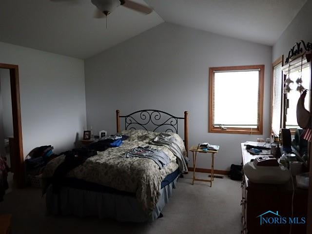 14587 Williams Road Defiance, OH 43512 - Photo 19 of 24 Gallery Image 19
