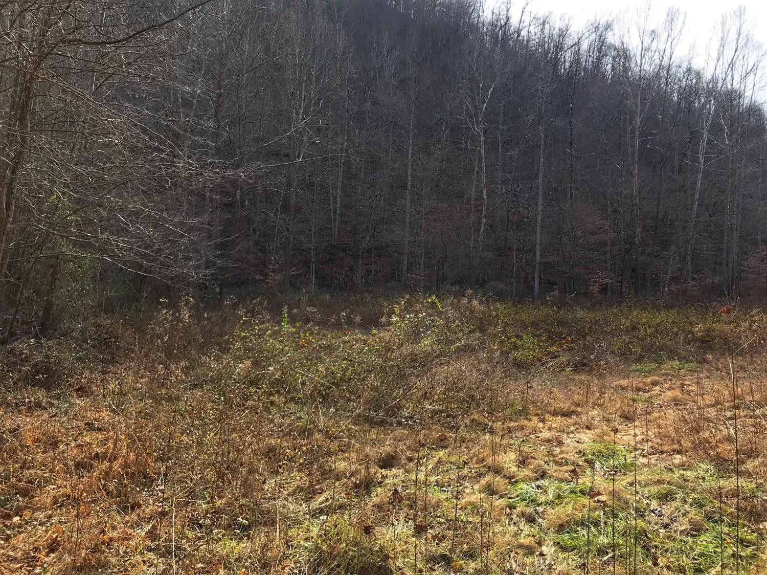 2 Otter Creek Road Manchester, KY 40962 - Photo 4 of 51 Photo 4