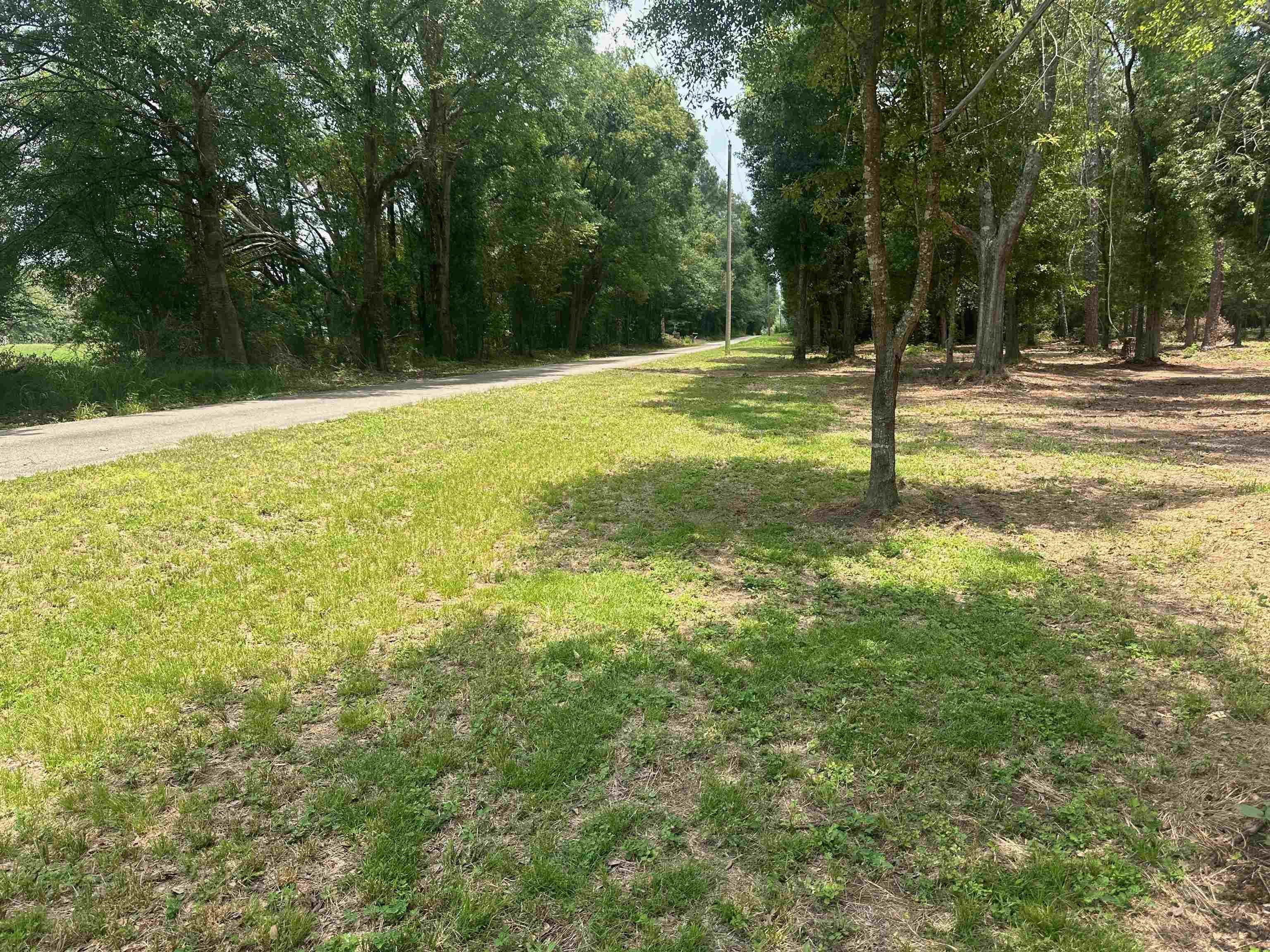23040 Forland Road Silverhill, AL 36576 - Photo 6 of 13 Yard