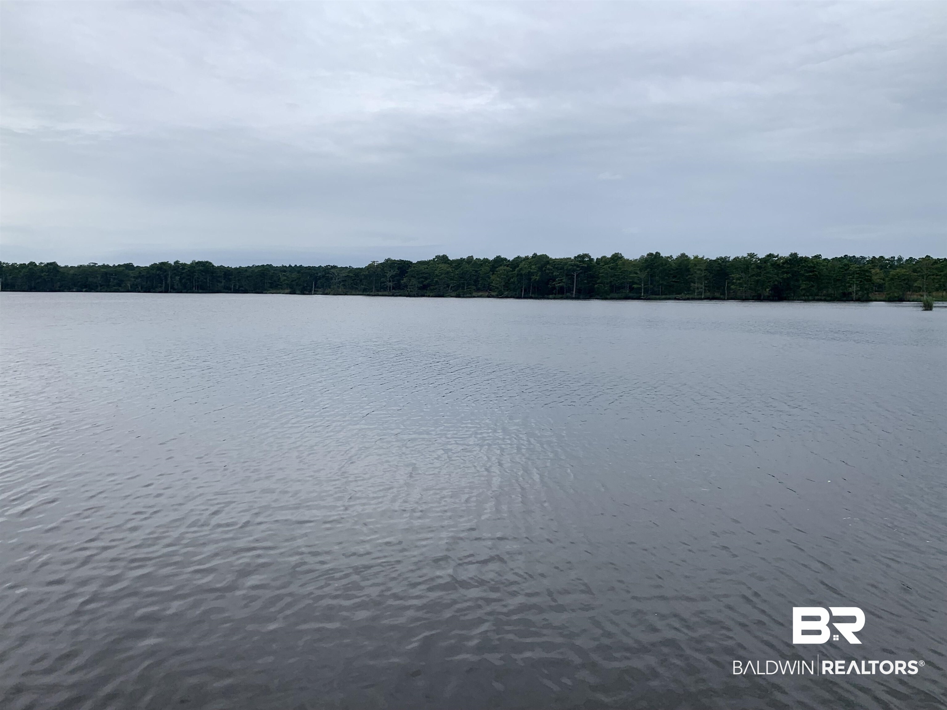14099 Isle Of Pines Drive Foley, AL 36535 - Photo 3 of 25