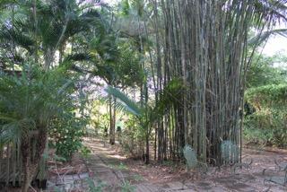 12725 Oak Arbor Drive Boynton Beach, FL 33436 - Photo 20 of 28 IMG_4076