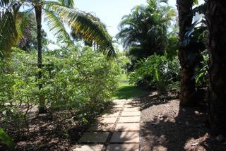 12725 Oak Arbor Drive Boynton Beach, FL 33436 - Photo 26 of 28 IMG_4433