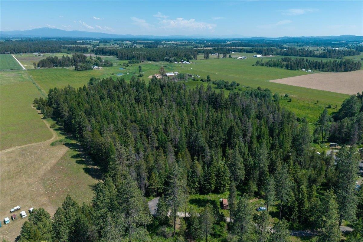 4668 Williams Valley Road Clayton, WA 99110 - Photo 15 of 44