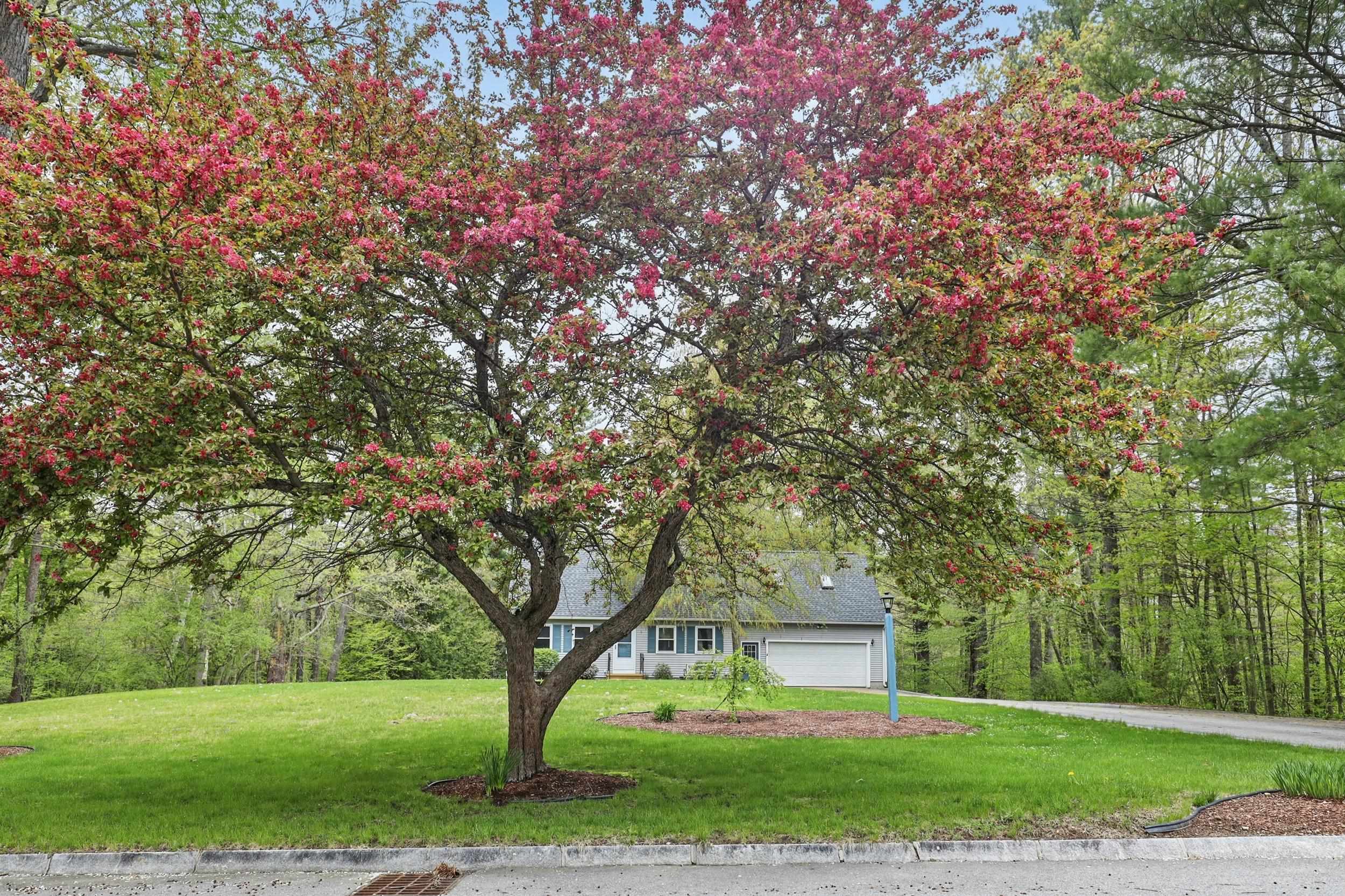 20 Edward Drive Concord, NH 03301 - Photo 39 of 41