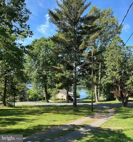 a view of a park with large trees