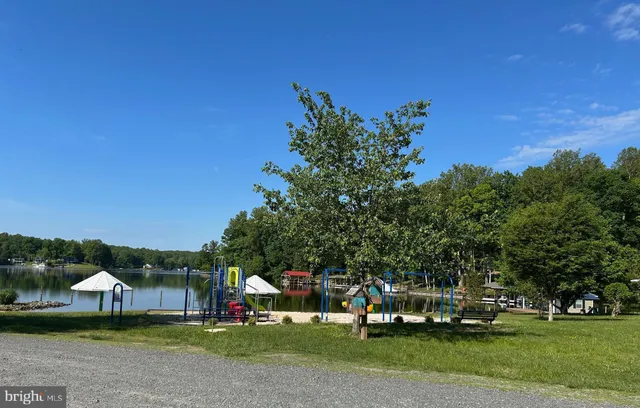a view of a park with large trees
