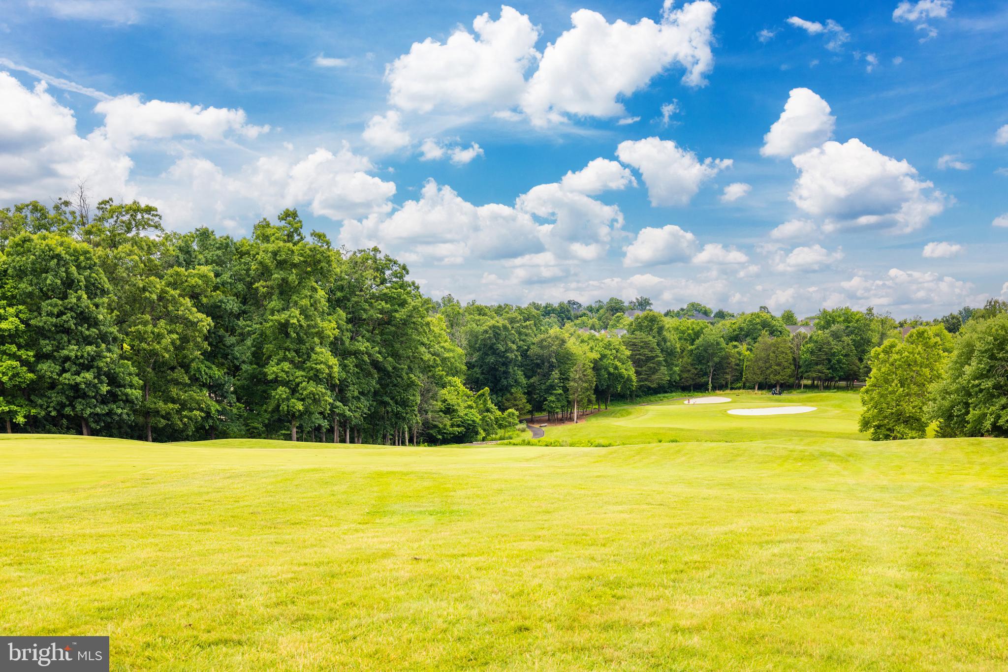 43262 Baltusrol Terrace Ashburn, VA 20147 - Photo 6 of 71