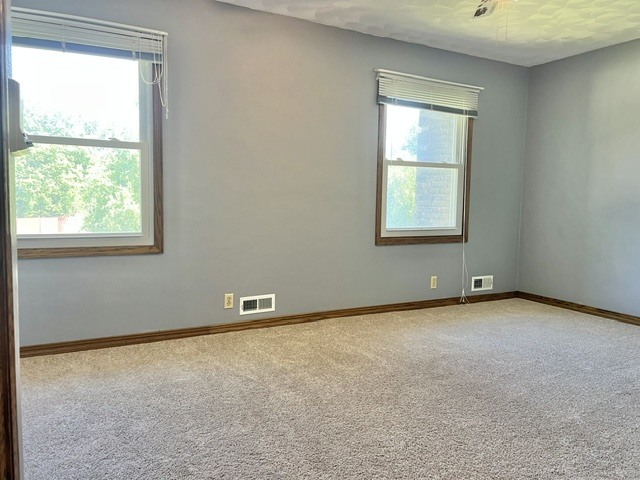 107 Hilltop Street Colona, IL 61241 - Photo 21 of 39