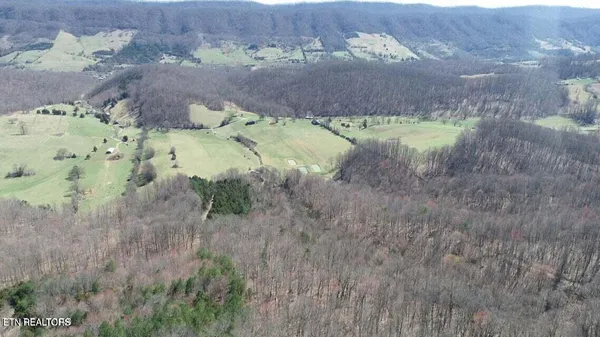 $518,900 | 1094 Parkey Hollow, Sneedville, TN 37869
