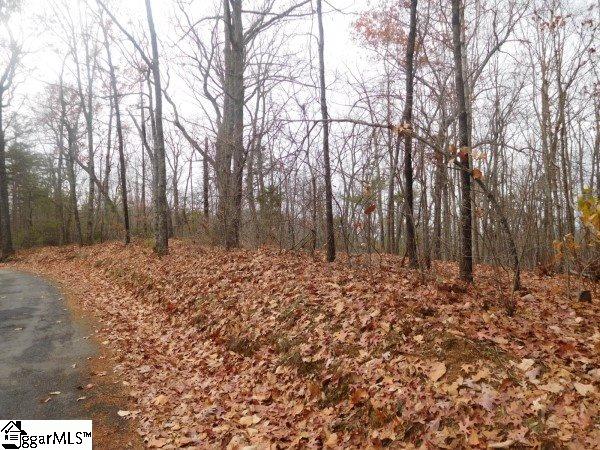 0 Long Mountain Road, Unit LOT 5 Pickens, SC 29671 - Photo 1 of 7