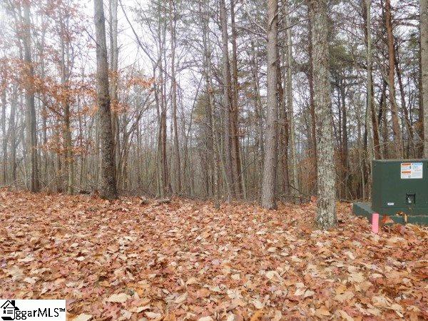 0 Long Mountain Road, Unit LOT 5 Pickens, SC 29671 - Photo 2 of 7