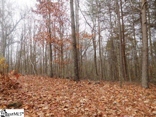 0 Long Mountain Road, Unit LOT 5 Pickens, SC 29671 - Photo 3 of 7