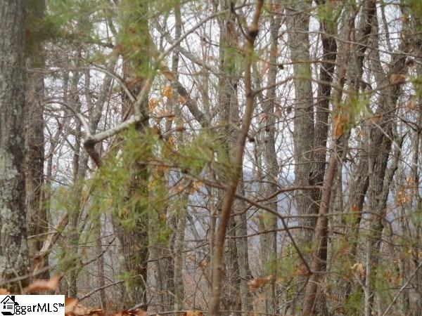 0 Long Mountain Road, Unit LOT 5 Pickens, SC 29671 - Photo 4 of 7