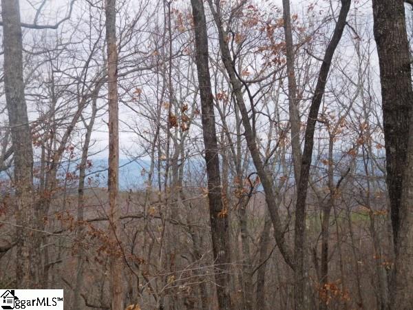0 Long Mountain Road, Unit LOT 5 Pickens, SC 29671 - Photo 5 of 7