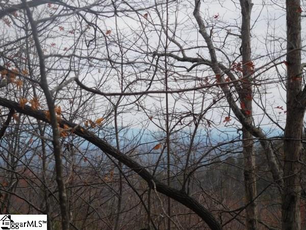 0 Long Mountain Road, Unit LOT 5 Pickens, SC 29671 - Photo 6 of 7