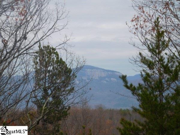 0 Long Mountain Road, Unit LOT 5 Pickens, SC 29671 - Photo 7 of 7