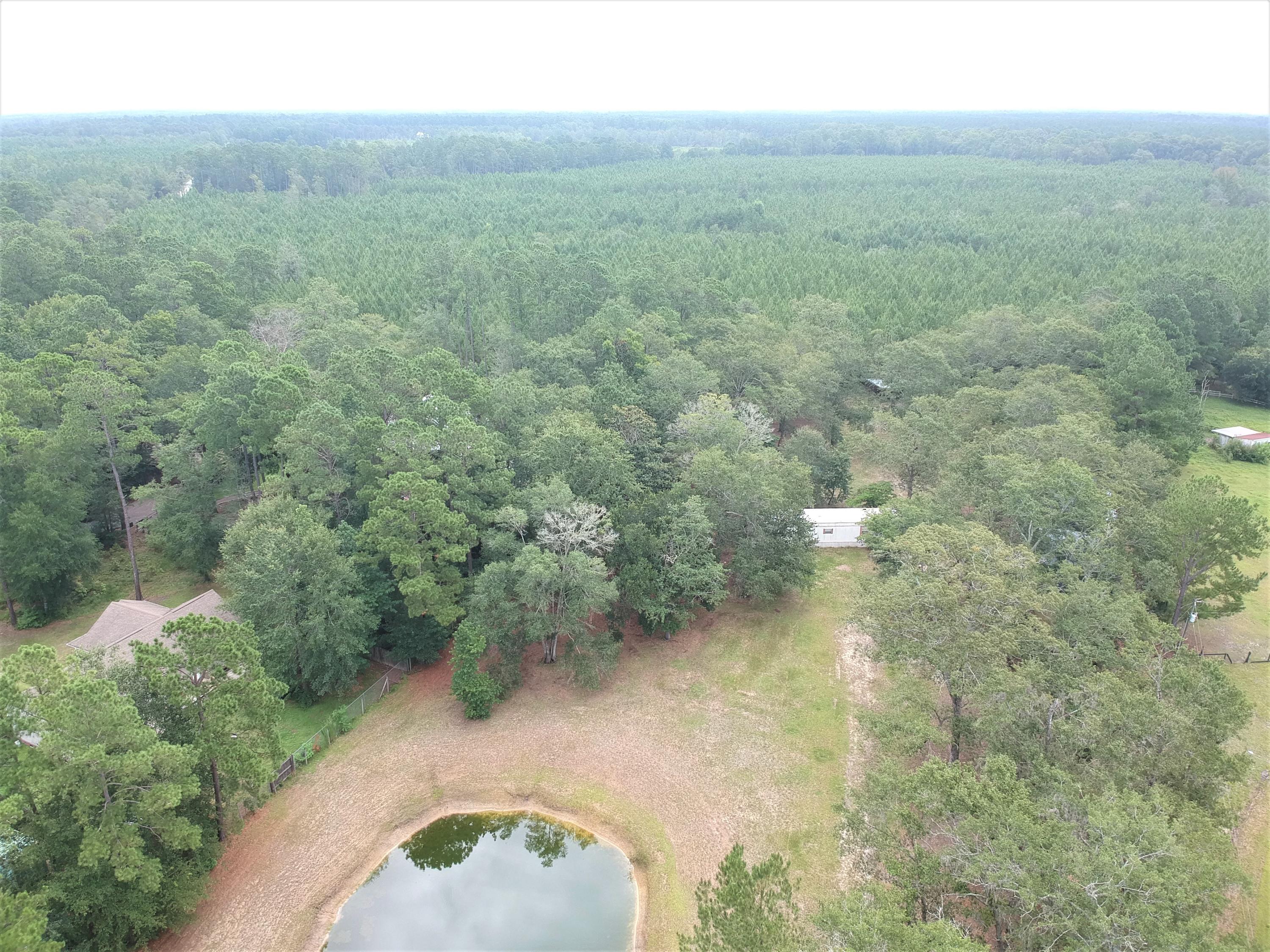 5770 Sauldam Road Ravenel, SC 29470 - Photo 23 of 25 DJI_0003