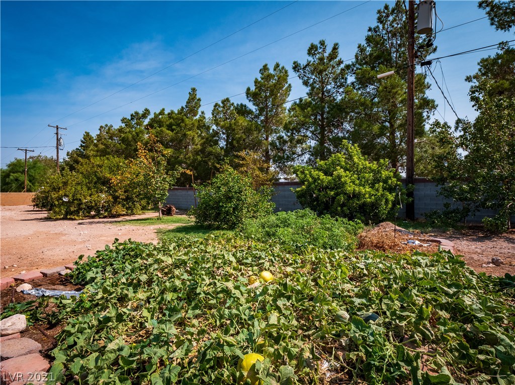 10660 Rancho Destino Road Las Vegas, NV 89183 - Photo 29 of 30 Gallery Image 29