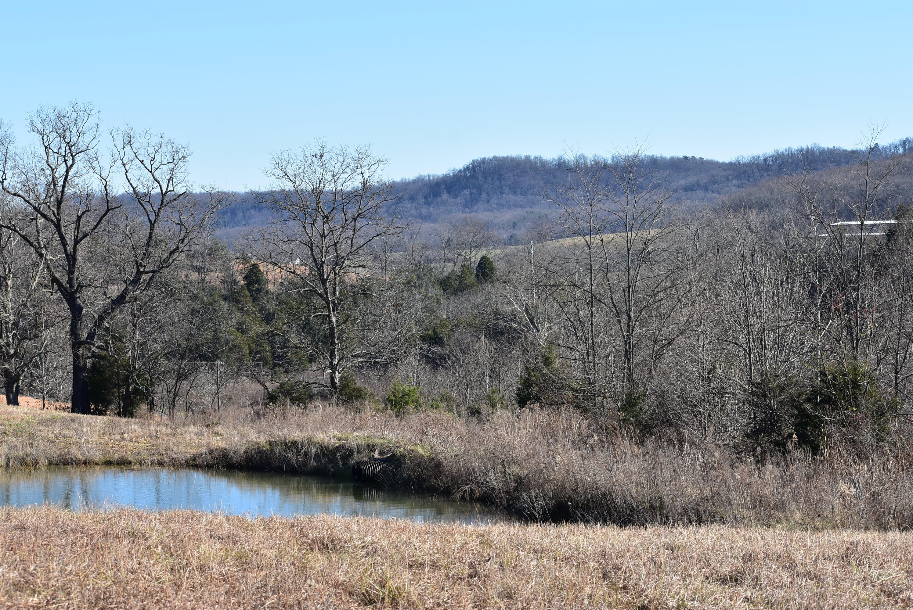 1063 Brock Road Paint Lick, KY 40461 - Photo 9 of 31 2