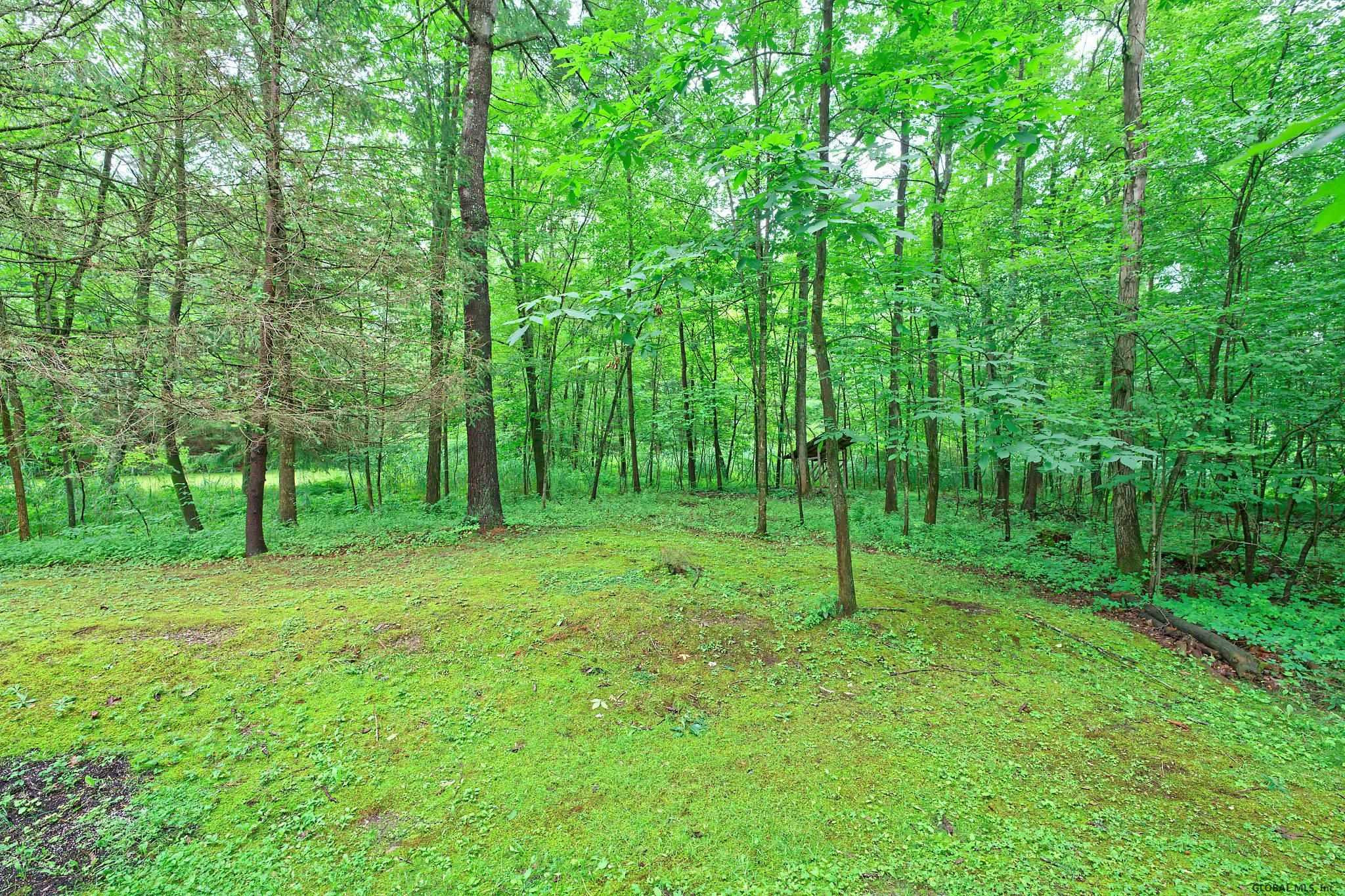 149 Rohloff Road Schodack, NY 12123 - Photo 31 of 39 Photo 31