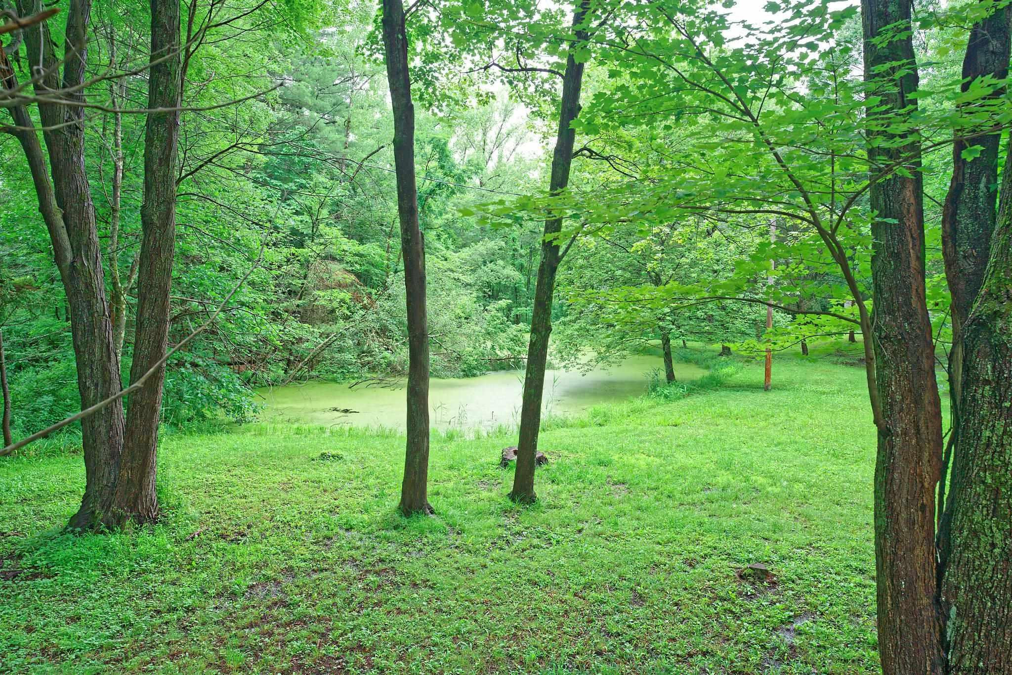 149 Rohloff Road Schodack, NY 12123 - Photo 39 of 39 Photo 39
