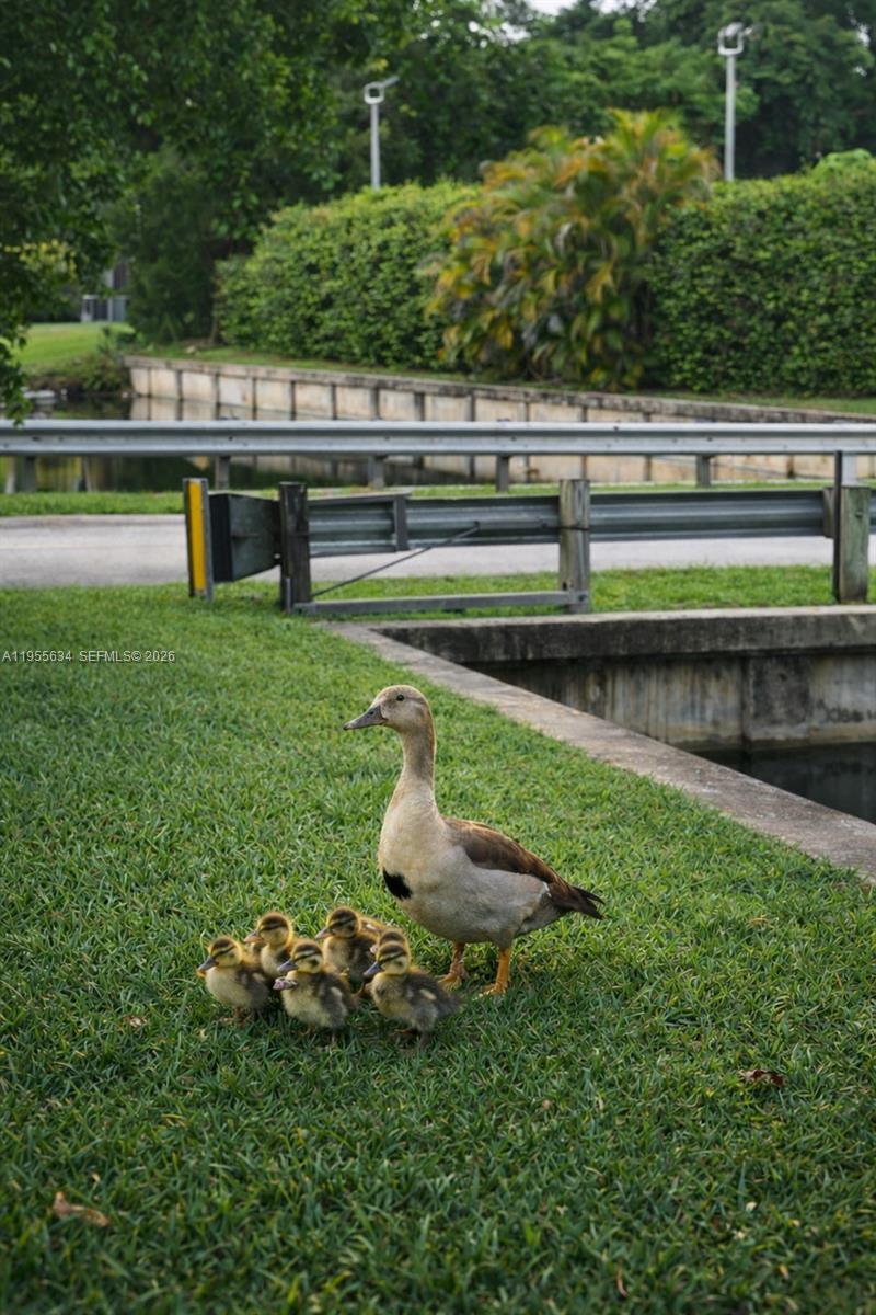 5700 White Hickory Circle Tamarac, FL 33319 - Photo 17 of 18 a view of a lake with a big yard