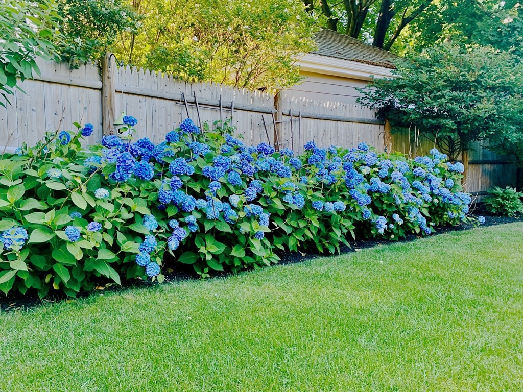 15 Pickwick Road Marblehead, MA 01945 - Photo 30 of 30 a view of a garden with a flower in a garden
