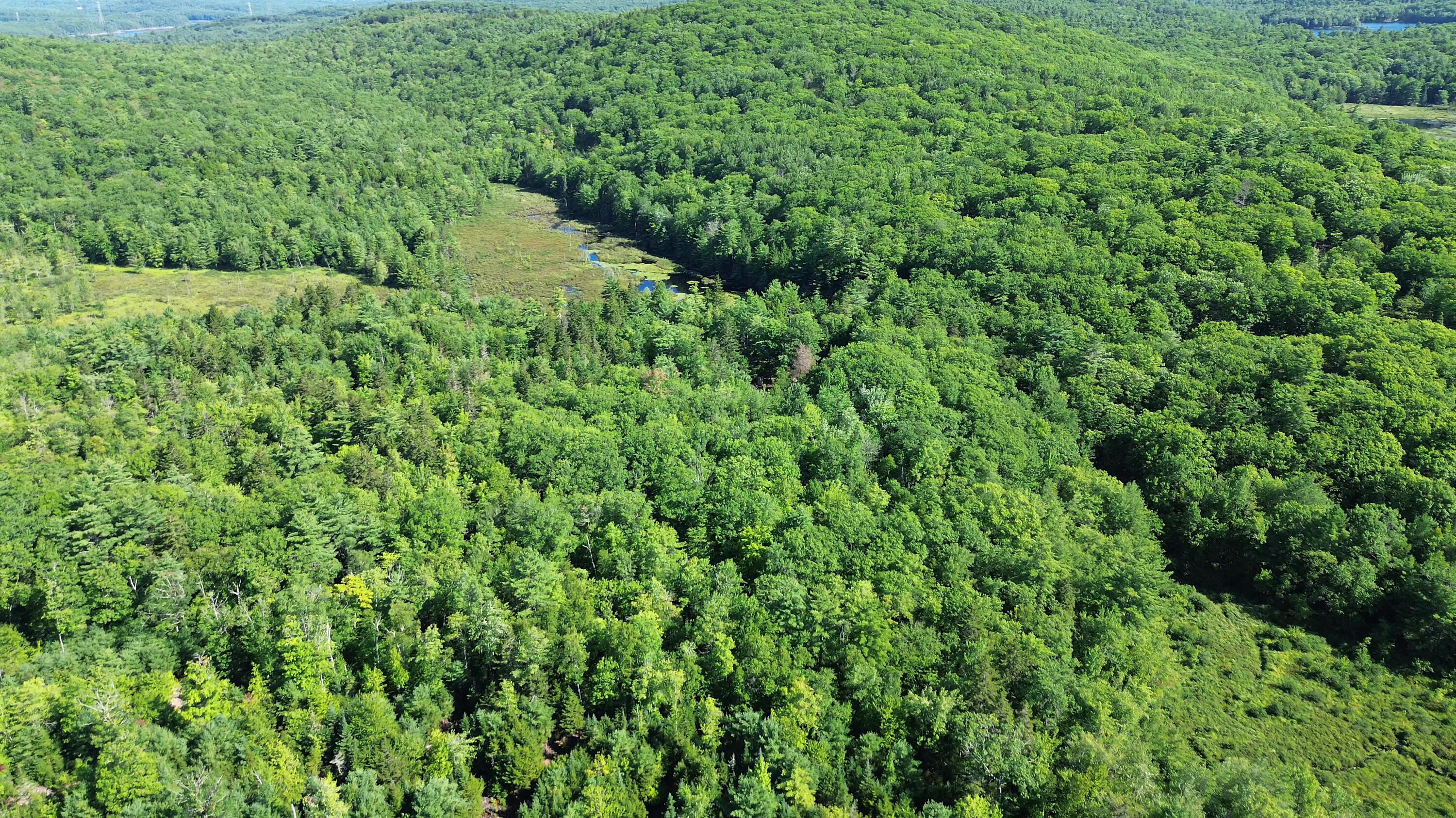 89 Conners Road Bucksport, ME 04416 - Photo 41 of 47 50