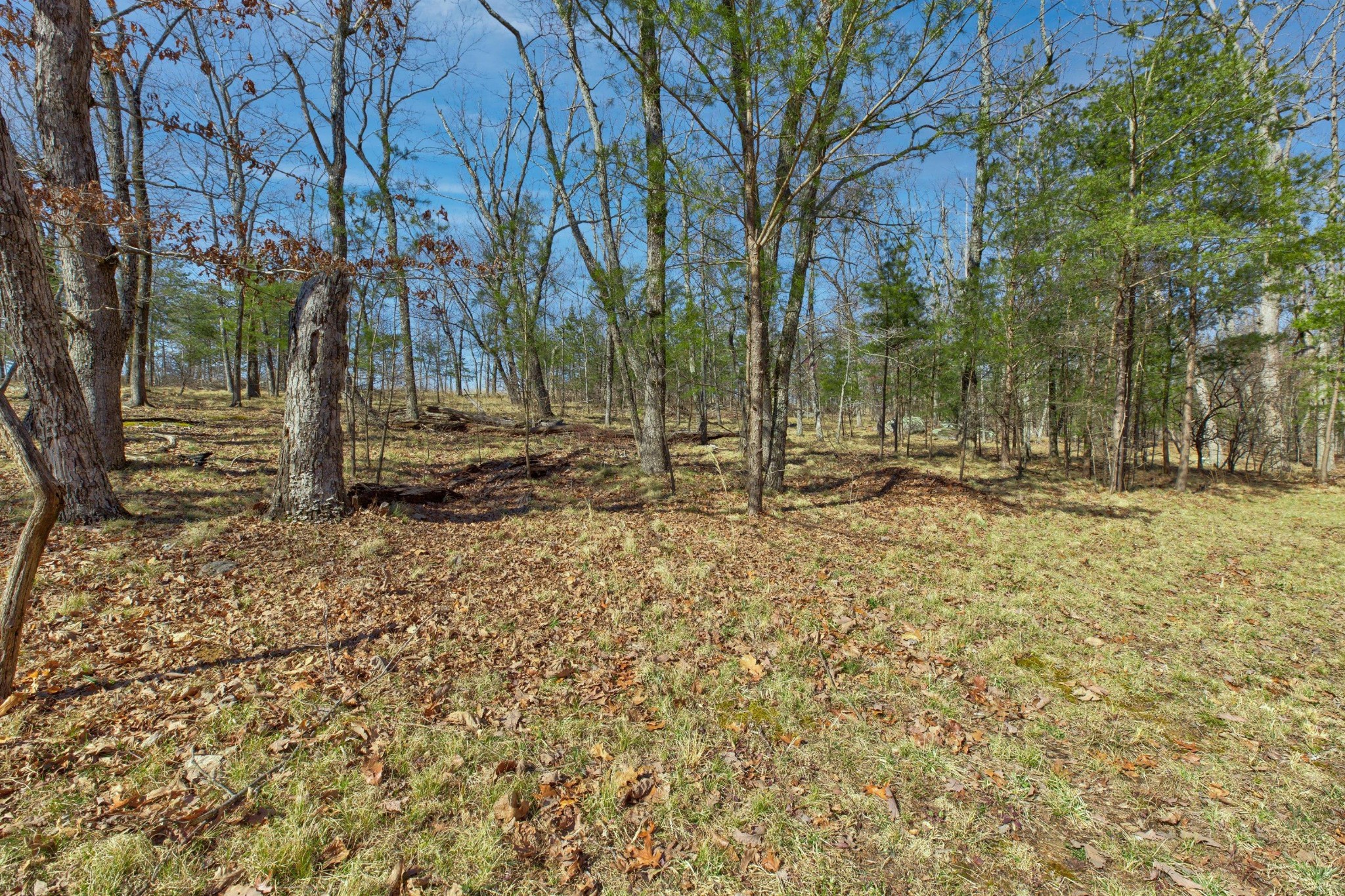 0 West Bluff Road Cloudland, GA 30731 - Photo 28 of 28 Gallery Image 28