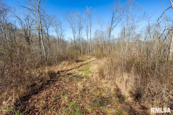 $129,000 | 49 Highway 34, Rosiclare, IL 62982