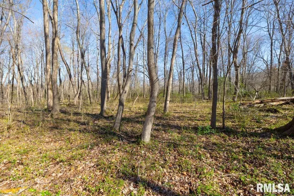 $129,000 | 49 Highway 34, Rosiclare, IL 62982