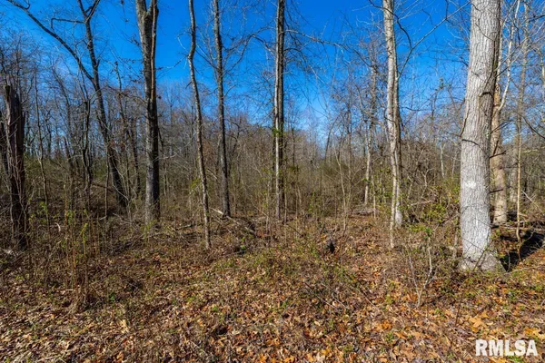 $129,000 | 49 Highway 34, Rosiclare, IL 62982