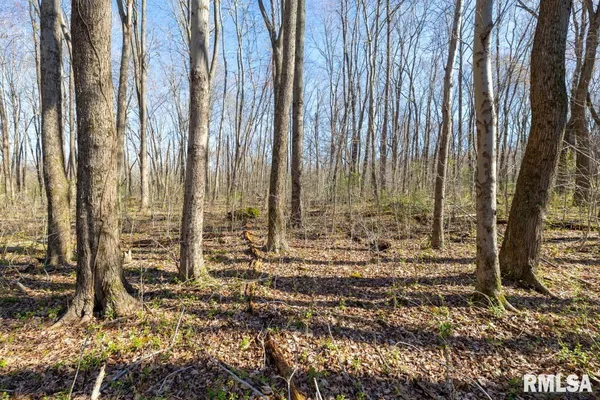$129,000 | 49 Highway 34, Rosiclare, IL 62982