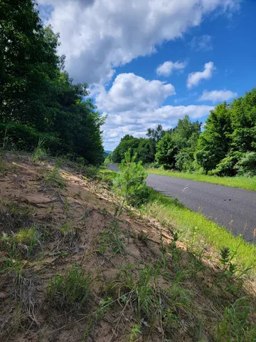 $250,000 | Maxey Road, Unit 7 2, Arcadia, MI 49613