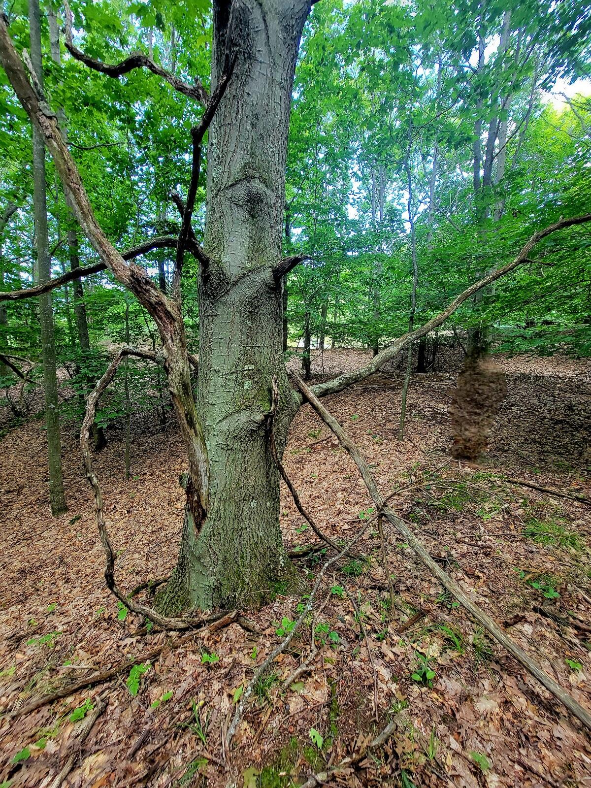 Maxey Road, Unit 7 2 Arcadia, MI 49613 - Photo 2 of 14 20250718_113332