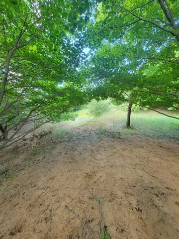 $250,000 | Maxey Road, Unit 7 2, Arcadia, MI 49613