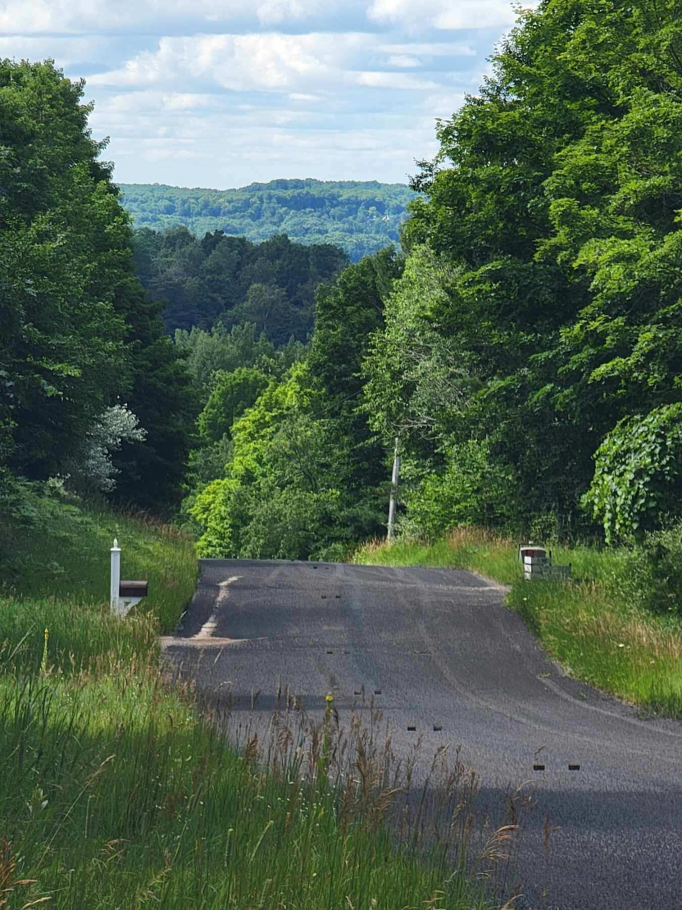 Maxey Road, Unit 7 2 Arcadia, MI 49613 - Photo 4 of 14 Resized_20250718_112701