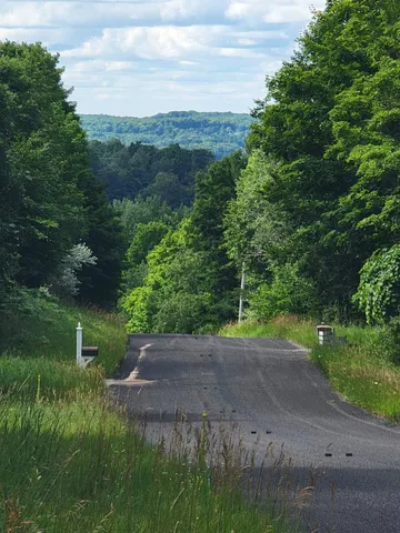 $250,000 | Maxey Road, Unit 7 2, Arcadia, MI 49613