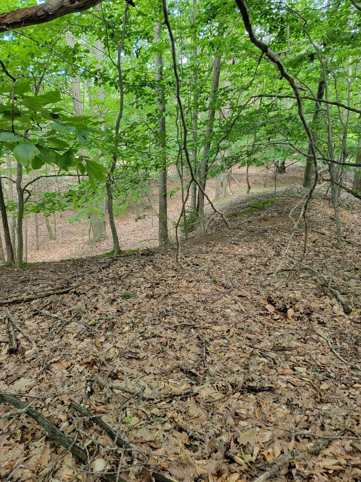 Maxey Road, Unit 7 2 Arcadia, MI 49613 - Photo 8 of 14 20250718_113058