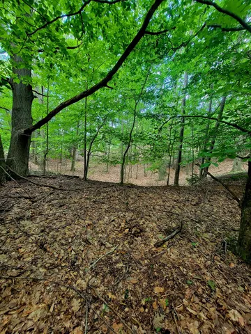 $250,000 | Maxey Road, Unit 7 2, Arcadia, MI 49613