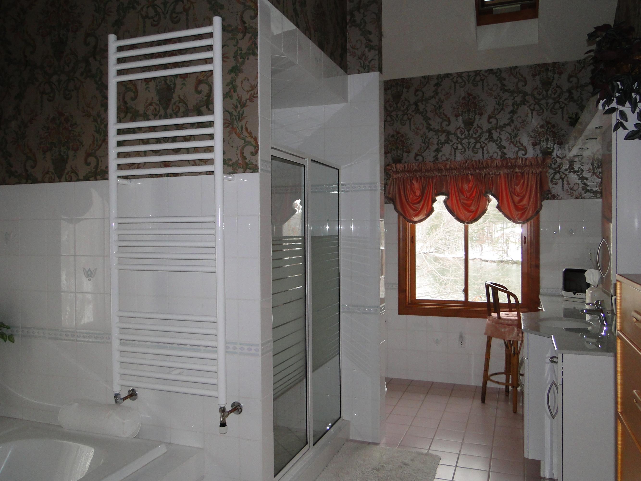 208 Red Oak Road Moneta, VA 24121 - Photo 15 of 88 Master Bath 1
