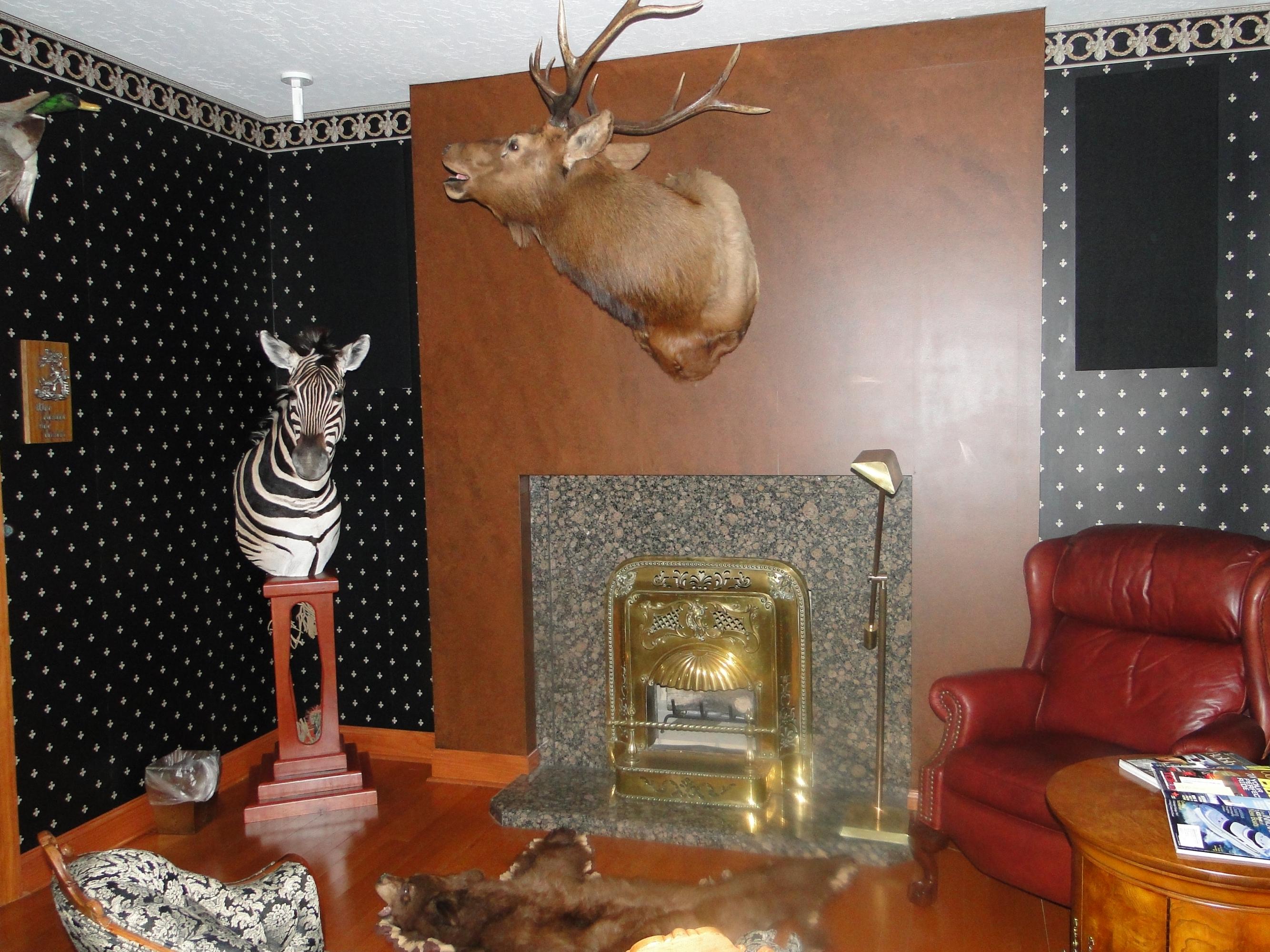 208 Red Oak Road Moneta, VA 24121 - Photo 25 of 88 Library