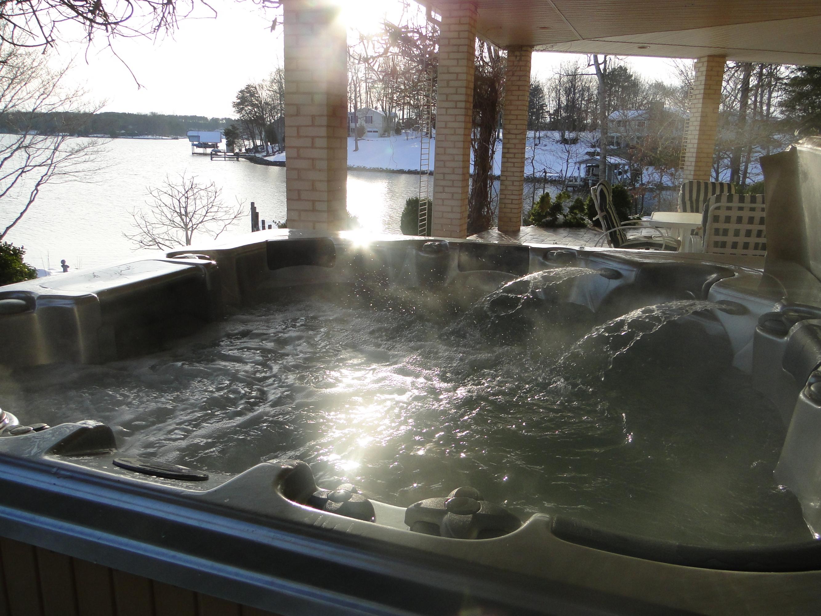208 Red Oak Road Moneta, VA 24121 - Photo 47 of 88 Hot Tub