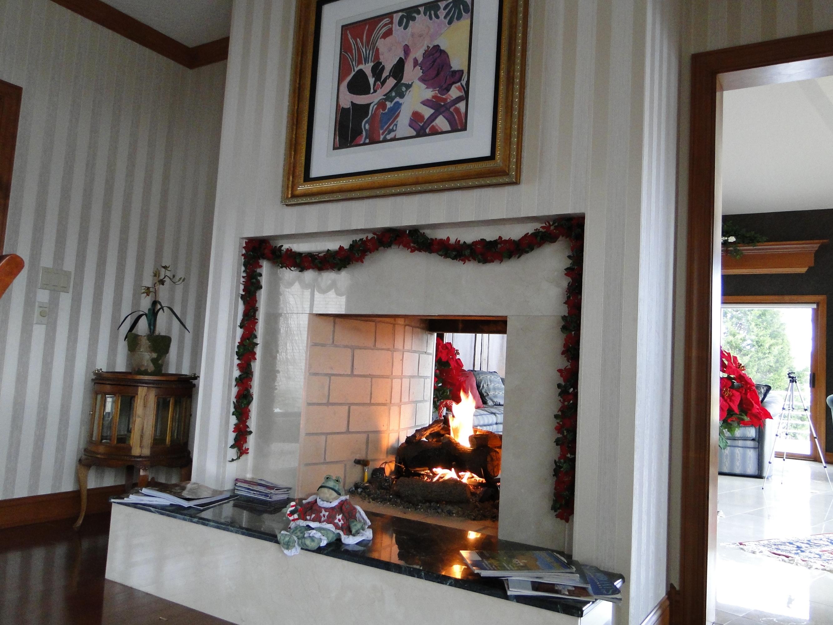 208 Red Oak Road Moneta, VA 24121 - Photo 6 of 88 2 Sided Fireplace