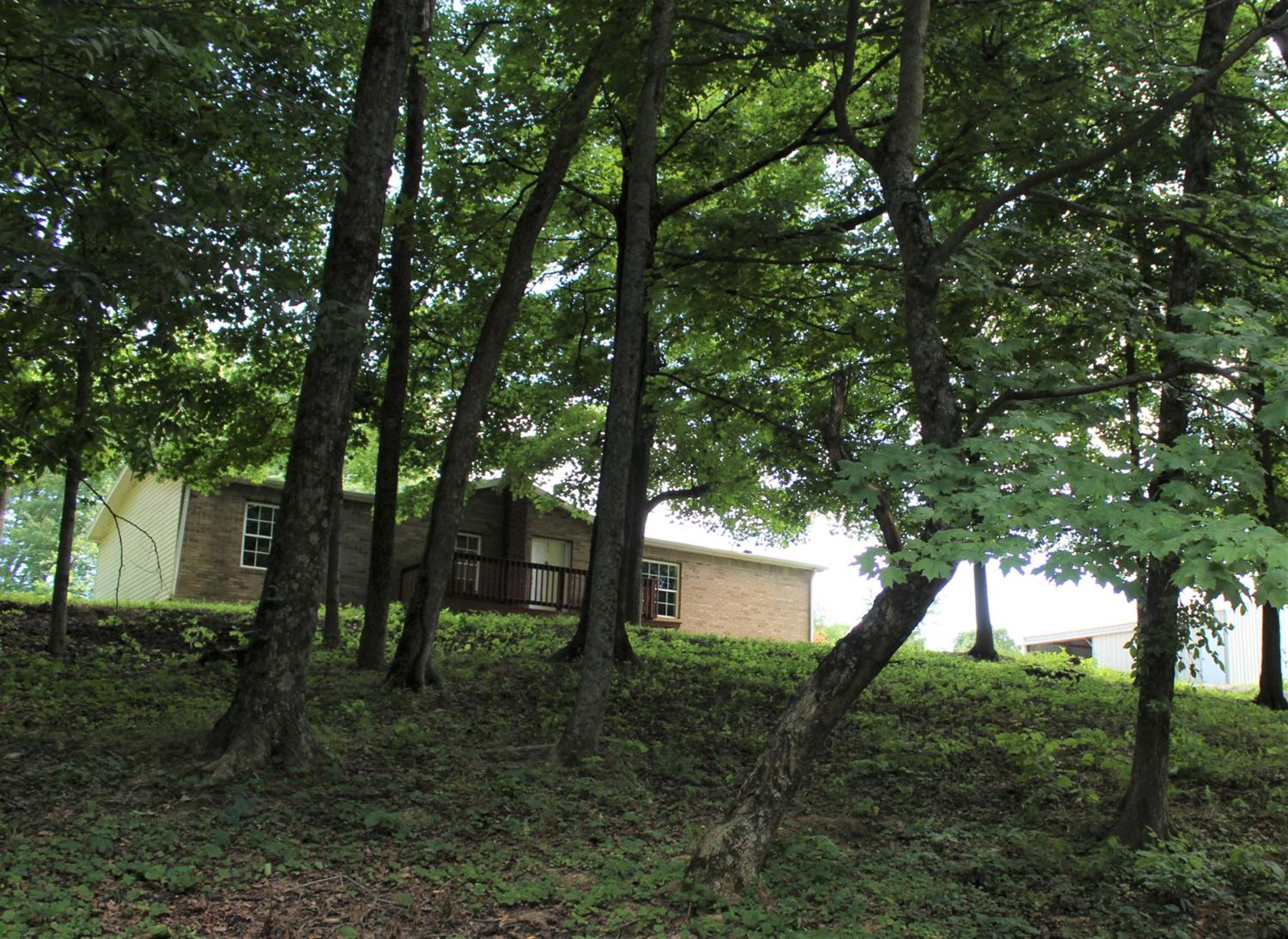 11694 Peelman Road Vevay, IN 47043 - Photo 3 of 13