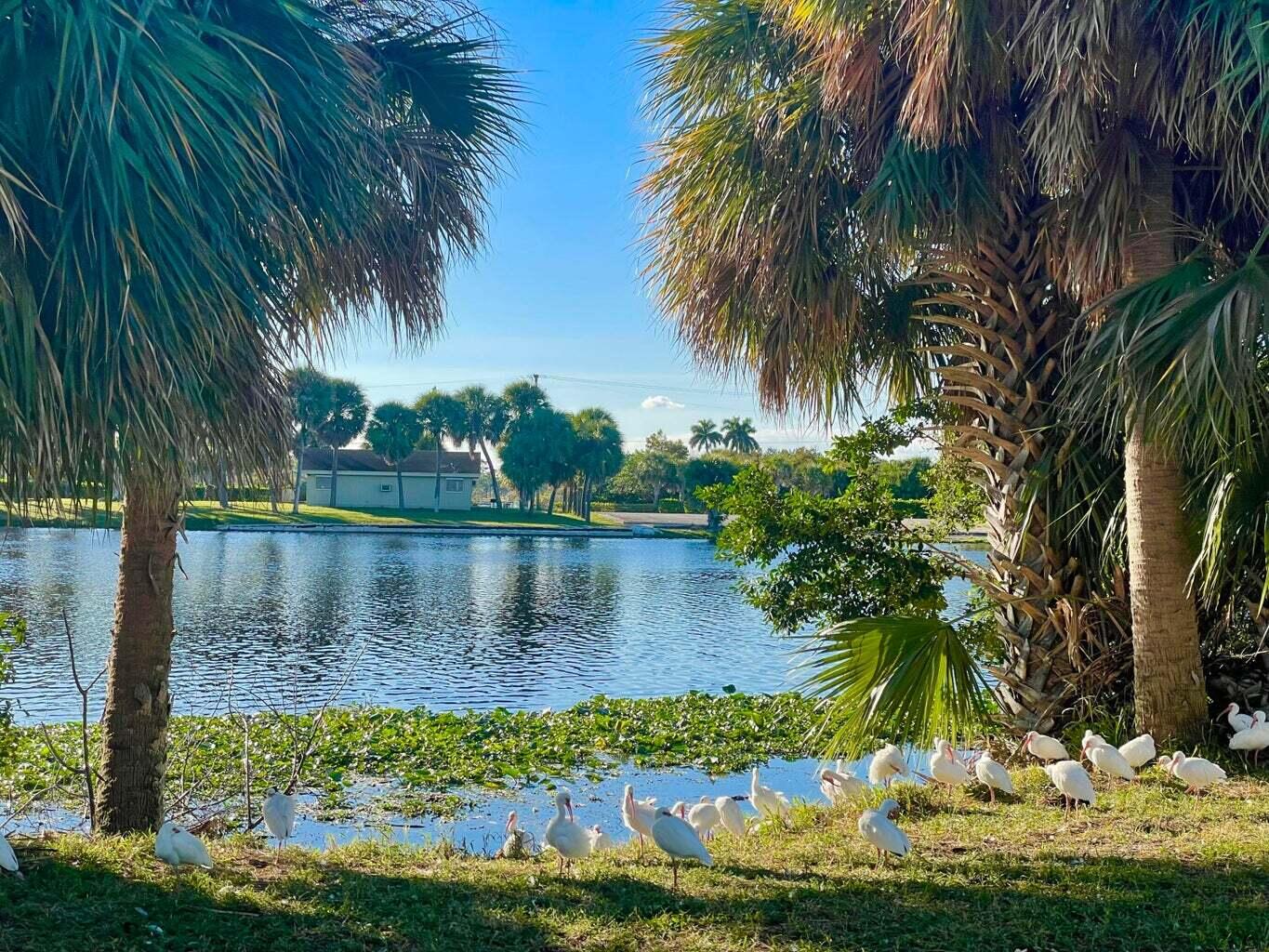 3040 Lake Osborne Drive, Unit 108 Lake Worth Beach, FL 33461 - Photo 26 of 27 a view of a lake view