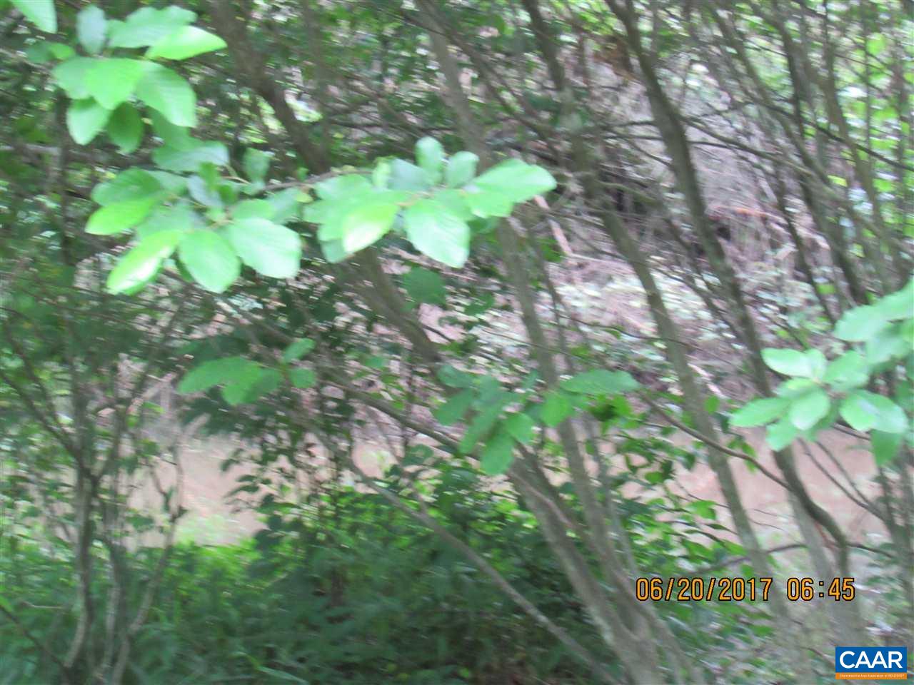 Bull Yearling Road Stanardsville, VA 22973 - Photo 3 of 8 a backyard of a tree