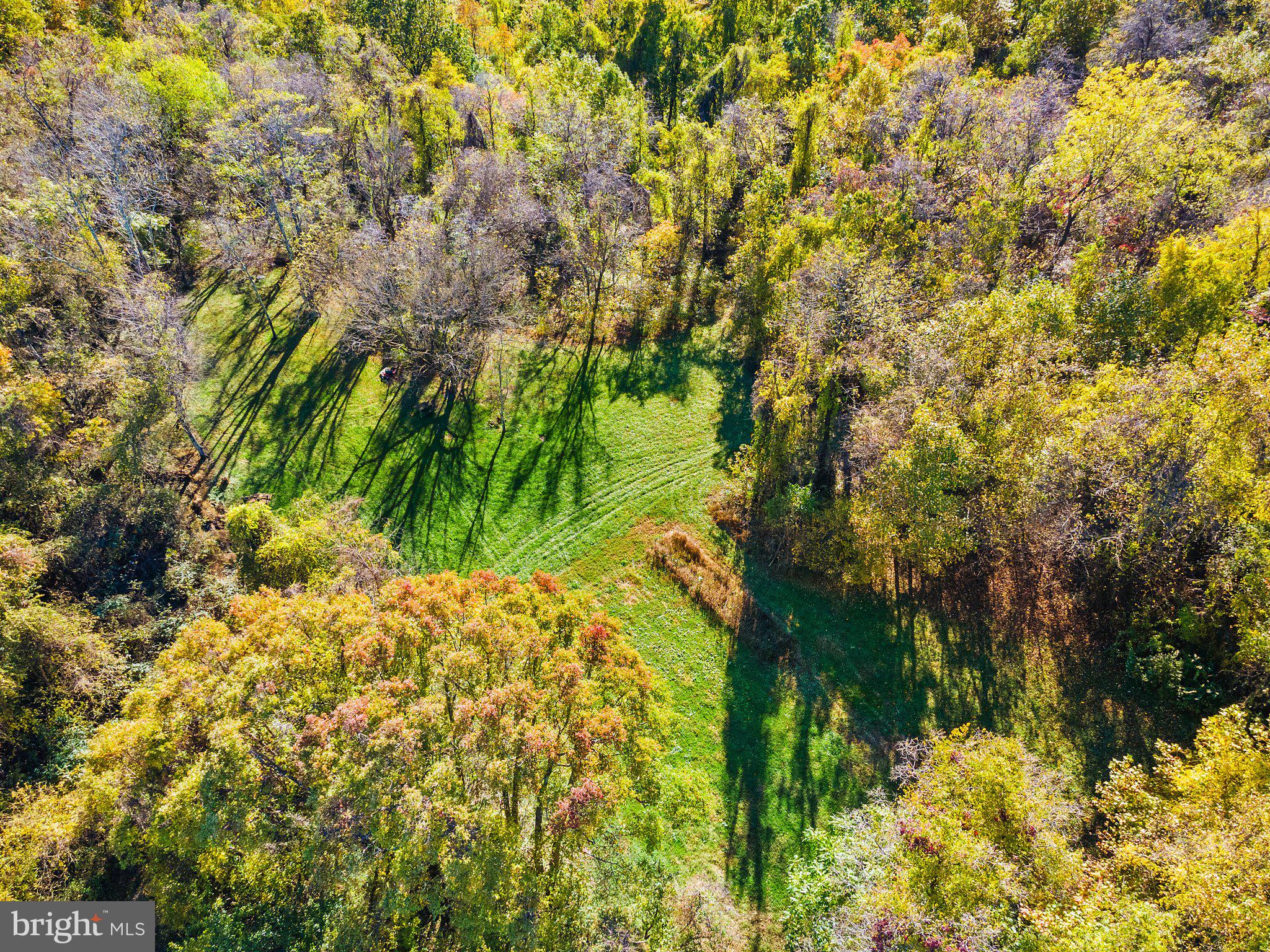 0 Leeds Manor Road Markham, VA 22643 - Photo 16 of 42