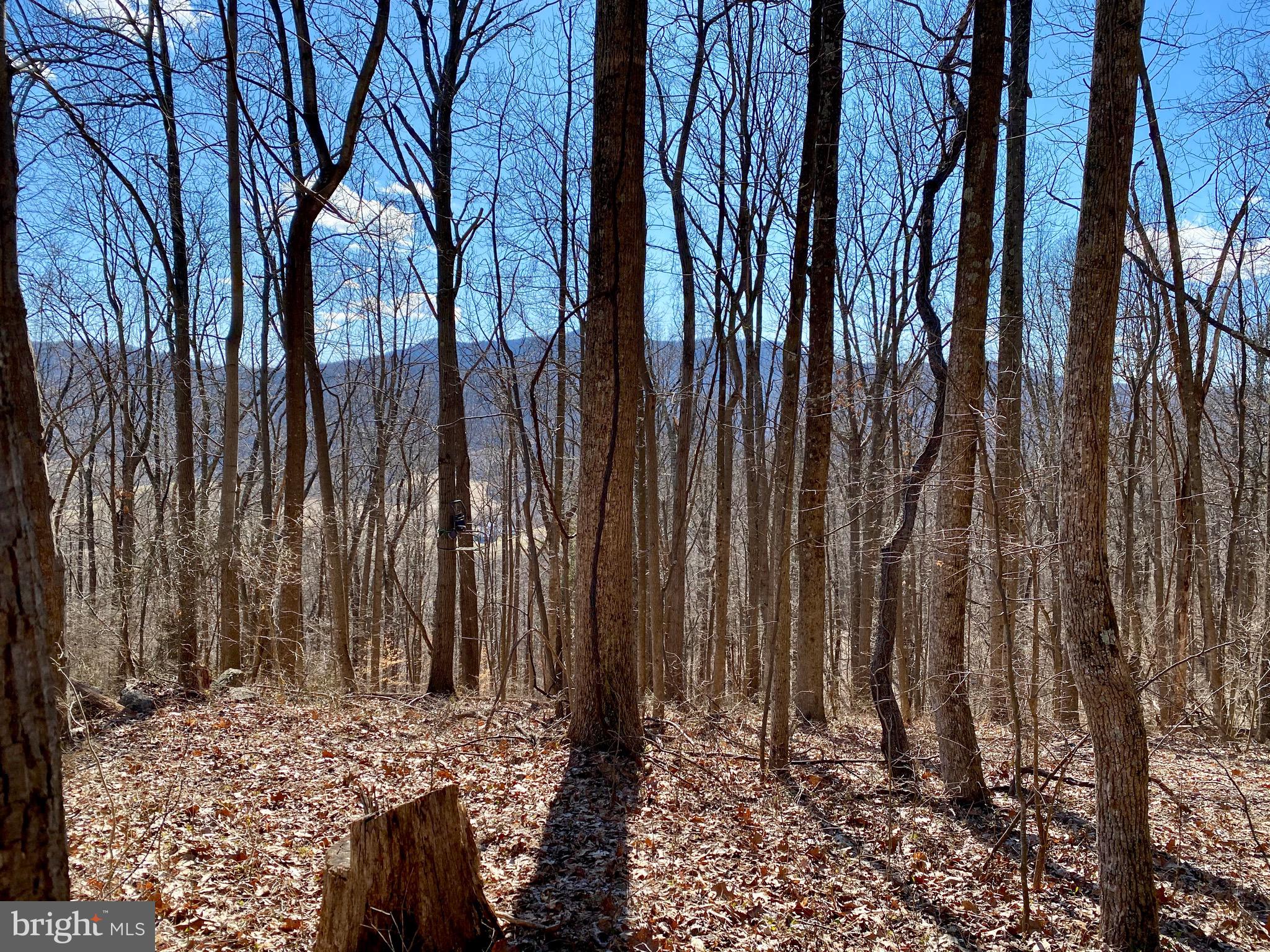 0 Leeds Manor Road Markham, VA 22643 - Photo 26 of 42